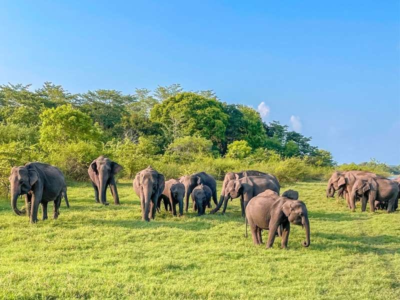 Sigiriya highlight 3