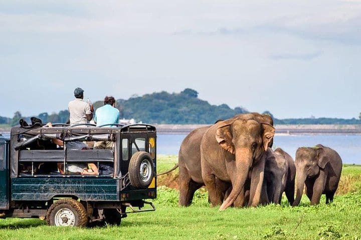 Highlights of Sri Lanka