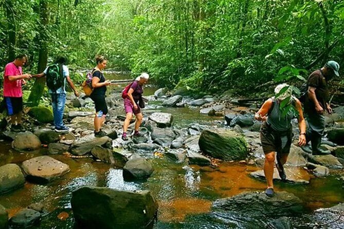 Kitulgala highlight 2