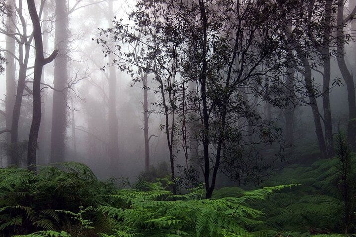 Kitulgala highlight 1