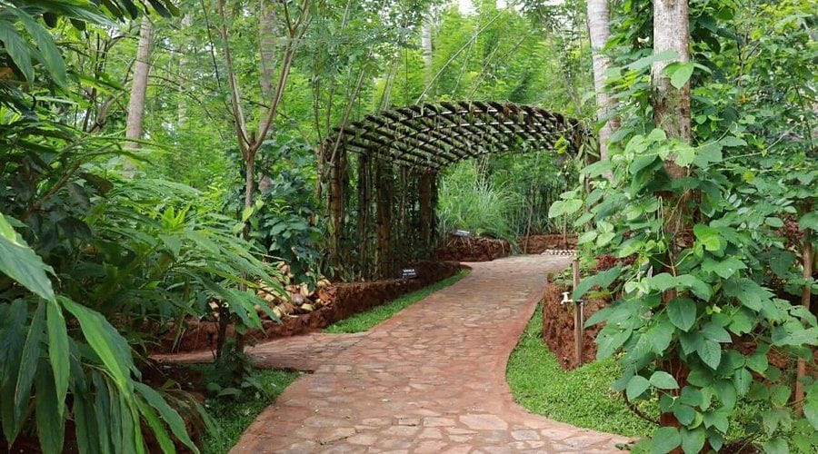 Sigiriya highlight 2