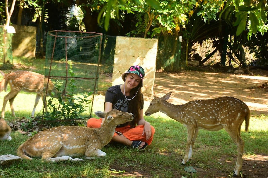 Nilaveli highlight 3