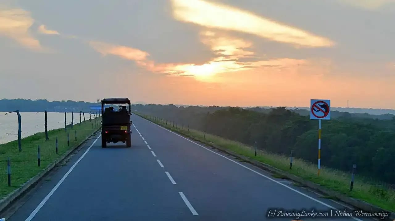 Udawalawa highlight 3