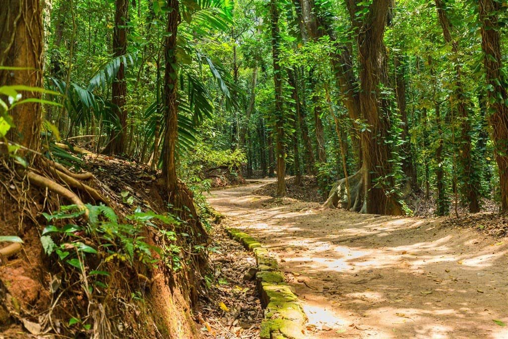 Nuwara Eliya highlight 1